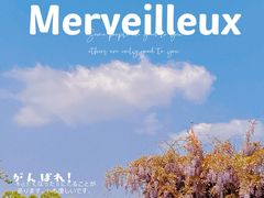 -熙盛源(永乐路店)