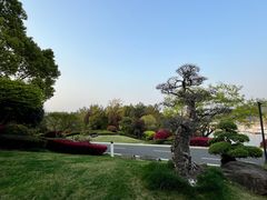 -千岛湖城中湖游船码头