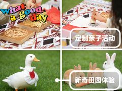 -三亚亚龙湾红树林度假酒店