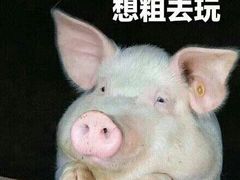 -周鱼小馆石锅酸菜鱼(活力汇店)