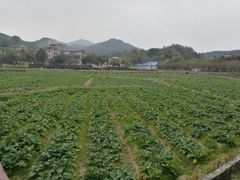-红山村