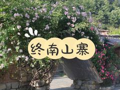 -牛背梁国家森林公园