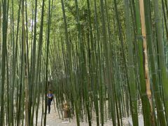-泰山风景名胜区-普照寺