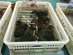 -盒马鲜生(宝地店)