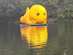 -婺源月亮湾