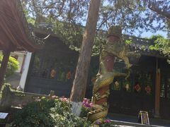 -杭州黄龙洞