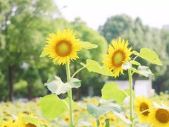 -南京信息职业技术学院