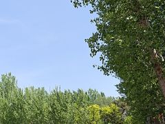 -清西陵