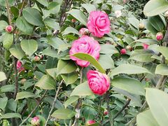 -艾溪湖湿地公园