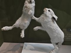 -国家自然博物馆