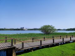 -长广溪湿地公园