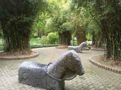 -瀛洲公园