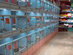 -FAELING PETS美天灵宠物(合生汇店)