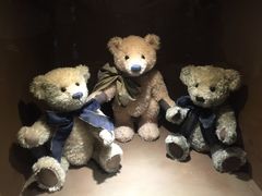 -济州岛泰迪熊博物馆