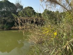 -桃花岛景观公园