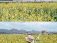 -光明小镇欢乐田园