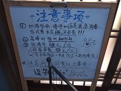 -逗柴咖啡屋·狗咖猫咖宠物桌游