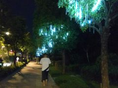 -飞凤山奥体公园