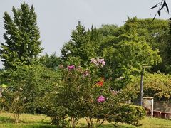 -太阳宫公园