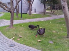 -中国浦东干部学院