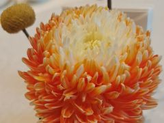 -香乐园·淮扬菜中餐厅·Shang Garden(福田香格里拉店)