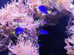 -南昌海洋公园