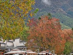 -塔川景区