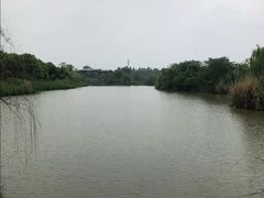 -白鹭湾湿地公园