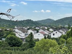 -树山生态村
