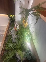 点击看大图 -美兮美学·日式艺术美甲美睫
