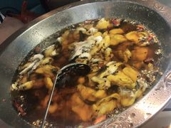 -雲蜀龙阁·金牌水煮鱼(方庄店)