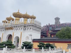 -上海东林寺(金山区)