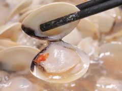 -顺德哥卜卜贝(旗舰店)