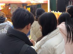 -味子夫鸡柳(解放碑总店)