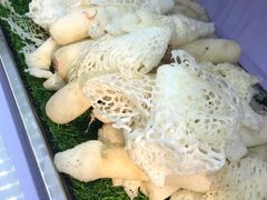 -七采菌园·石锅鱼野生菌火锅(环城北路店)