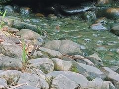 -新虹桥中心花园