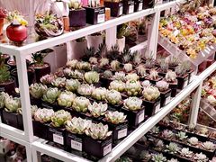 -KKV(深圳宏发大仟里店)