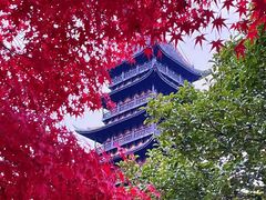 -常熟方塔园