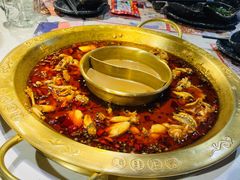 -哥老官重庆美蛙鱼头(圆融广场店)