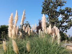 -汉长安城未央宫国家考古遗址公园