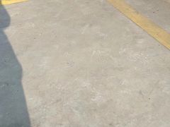 -胜华驾校·小猫学车(银都店)