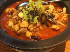 黑松露牛肝菌焖牛蛙-云海肴·汽锅鸡·云南菜(苏州中心店)