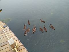-郭守敬纪念馆