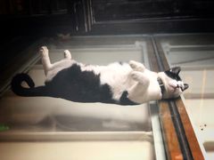 -猫的天空之城概念书店(杭州南宋御街店)