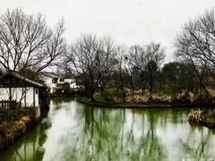 -嘉定紫藤园