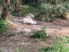 -贵州森林野生动物园