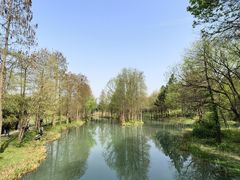 -西溪国家湿地公园