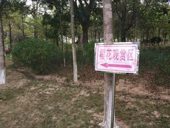 -聚龙山公园