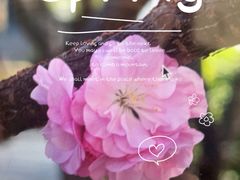 -海棠花溪(元大都城垣遗址公园)