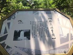 -北京麋鹿生态实验中心